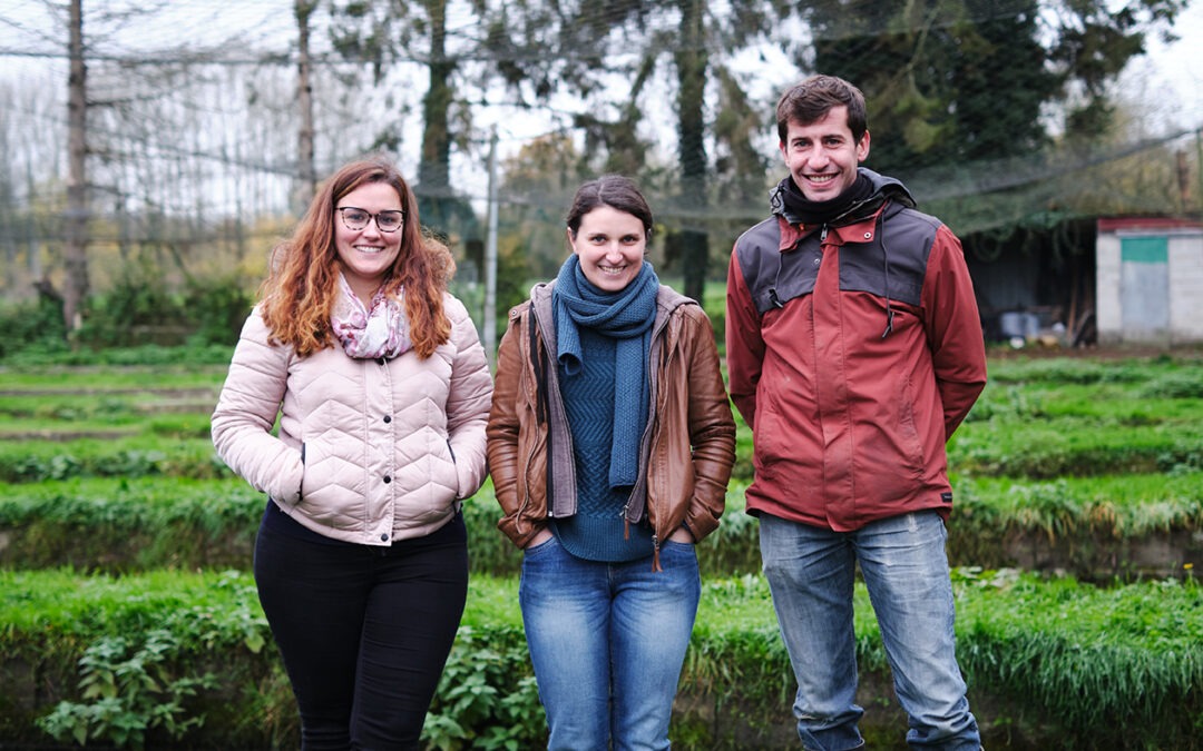 Ferme aquaponique du Cambrésis