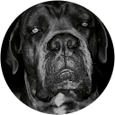 Carole G. profile picture