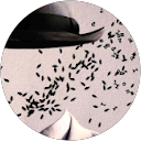 Jean N. profile picture