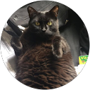 Sixtine B. profile picture