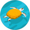 Clotilde M. profile picture