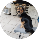 Valerie L. profile picture