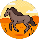 Damnosa D. profile picture