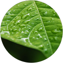 adeline G. profile picture