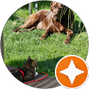 Antonina B. profile picture