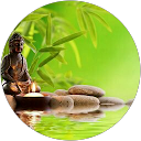 Wesley H. profile picture