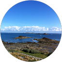 T A. profile picture