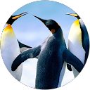 Baptiste B. profile picture