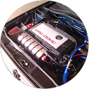 Cédrift Volk's P. profile picture