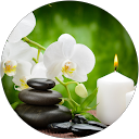 Demaecker V. profile picture