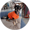 Sophie B. profile picture